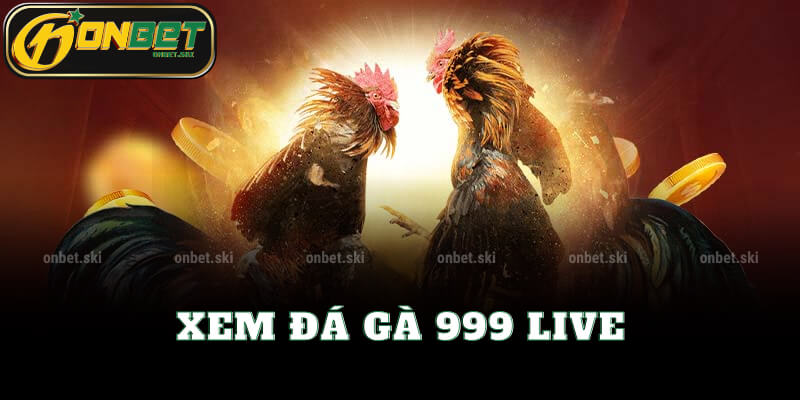 Xem Đá Gà 999 Live