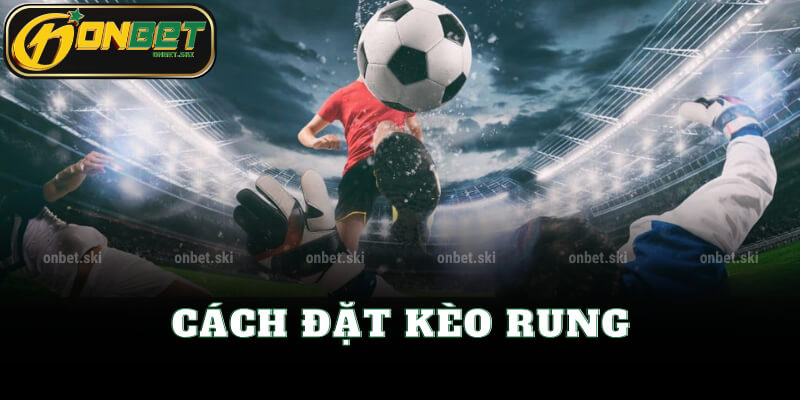 Cách Đặt Kèo Rung